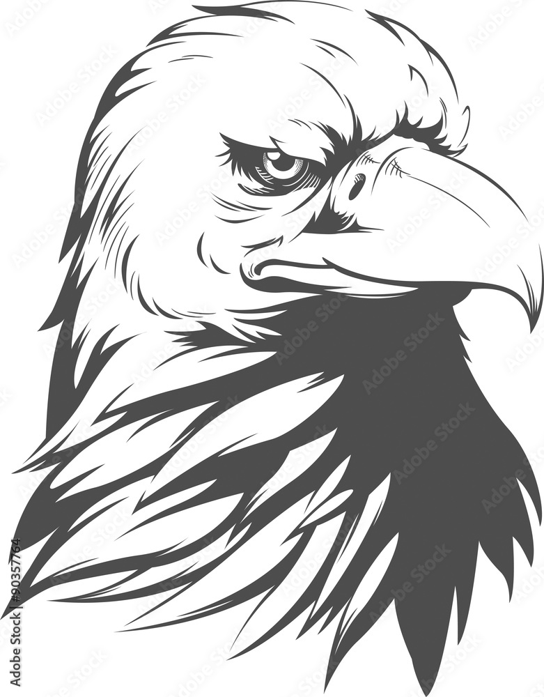 Naklejka premium Bald Eagle Silhouette