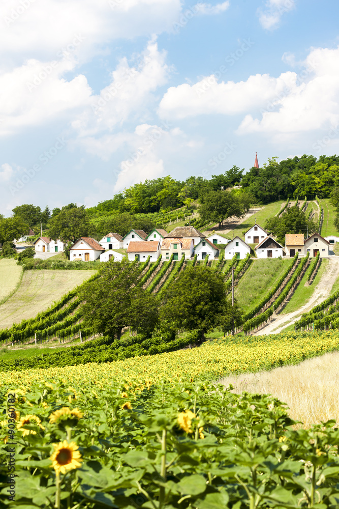 wine cellars with vineyards, Galgenberg, Lower Austria, Austria