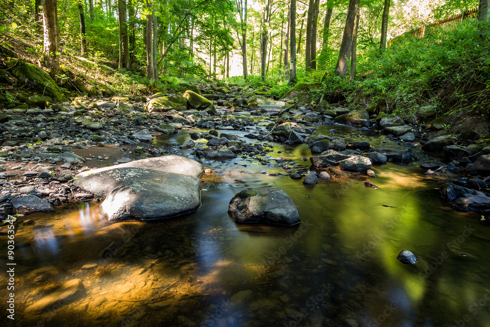 small wild river in Bohemian forest small wild river in Bohemian forest
