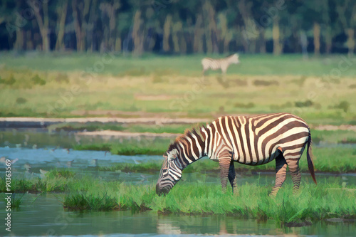 Zebra at watering place