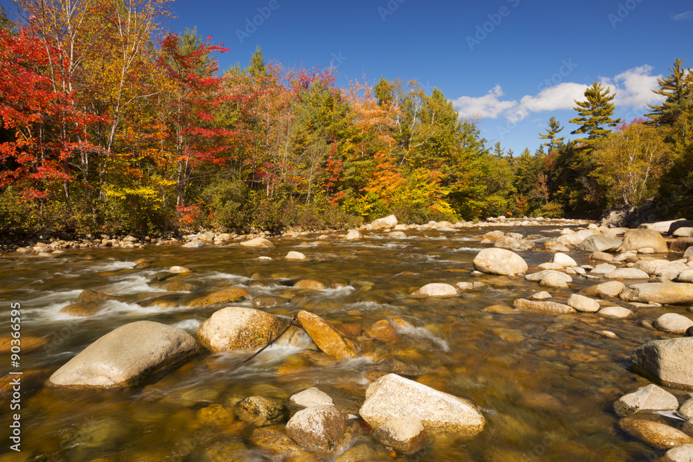 Fototapeta premium River through fall foliage, Swift River, New Hampshire, USA