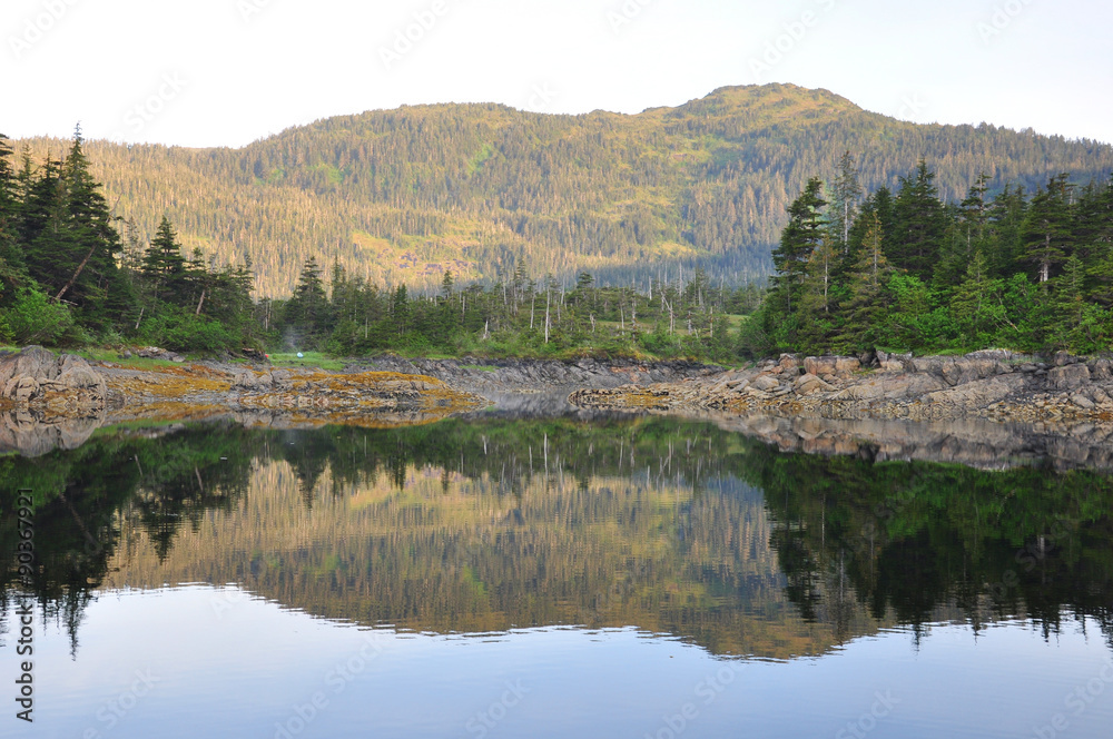 Reflecting mountain and trees