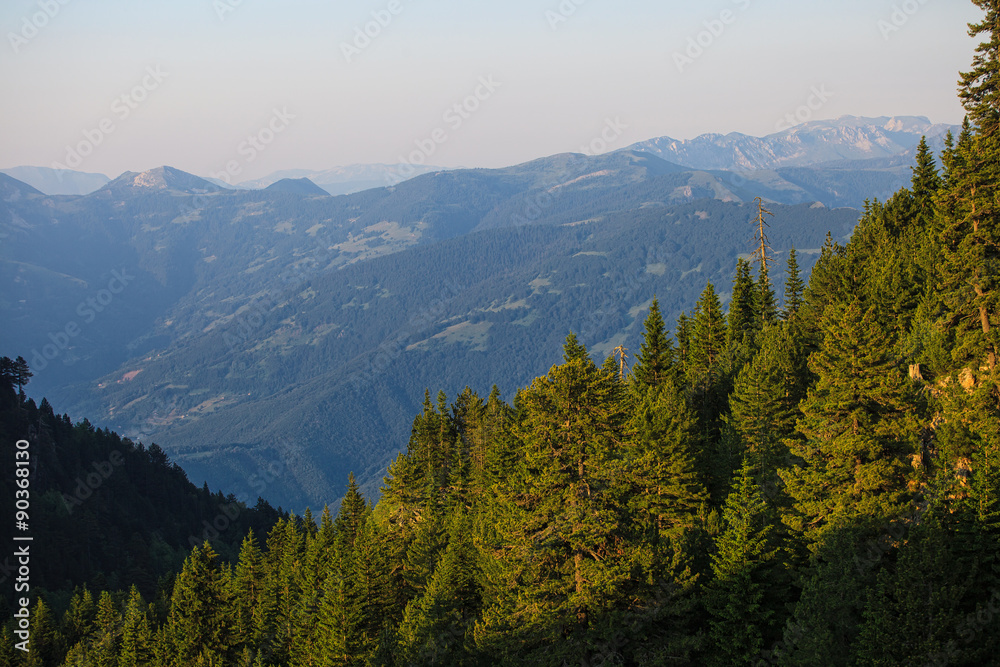 Obraz premium Serene View of Landscape in Visitor Mountains, Montenegro 