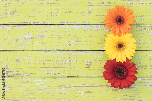 Geburtstag Geschenk Karte mit Gerbera Blüten und Textfreiraum