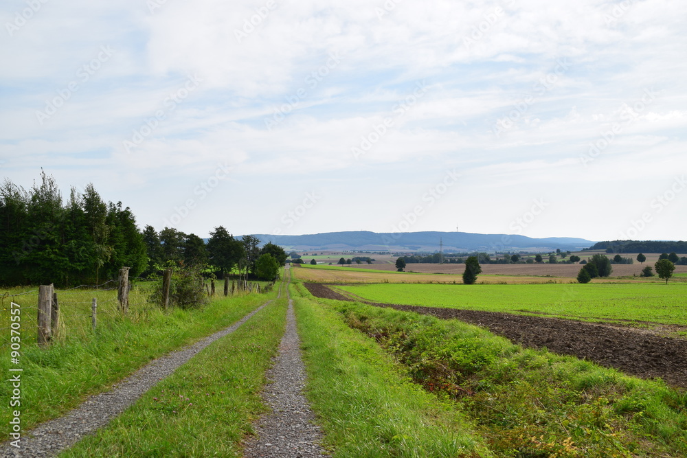 Feldweg im Auetal