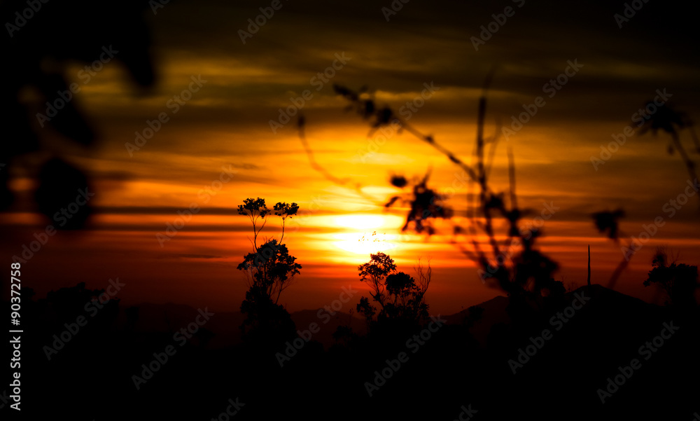 Sonnenaufgang im Hochland von Sri Lanka