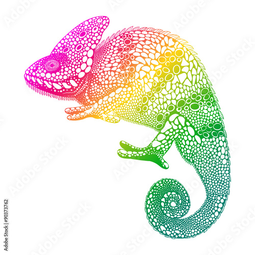 Zentangle stylized  multi coloured Chameleon. Hand Drawn Reptile