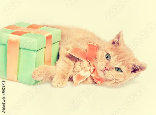 Cute kitten wearing bow ribbon lying near present box