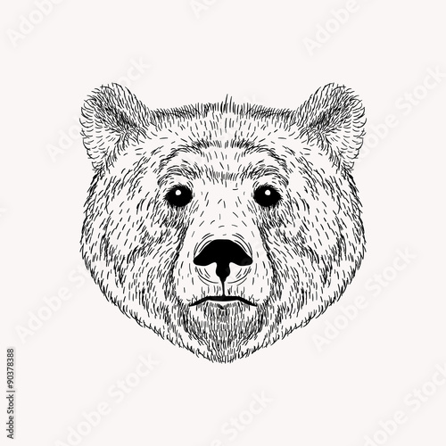 Sketch realistic face Bear. Hand drawn vector  illustration in D