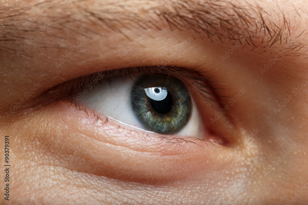 Naklejka premium Male right green eye extreme closeup