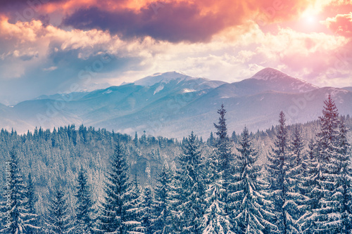 Fototapeta Naklejka Na Ścianę i Meble -  Beautiful winter sunrise in the Carpathian mountains.
