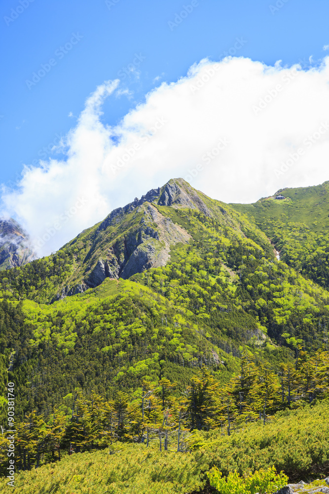 八ヶ岳の編笠山から望むギボシ