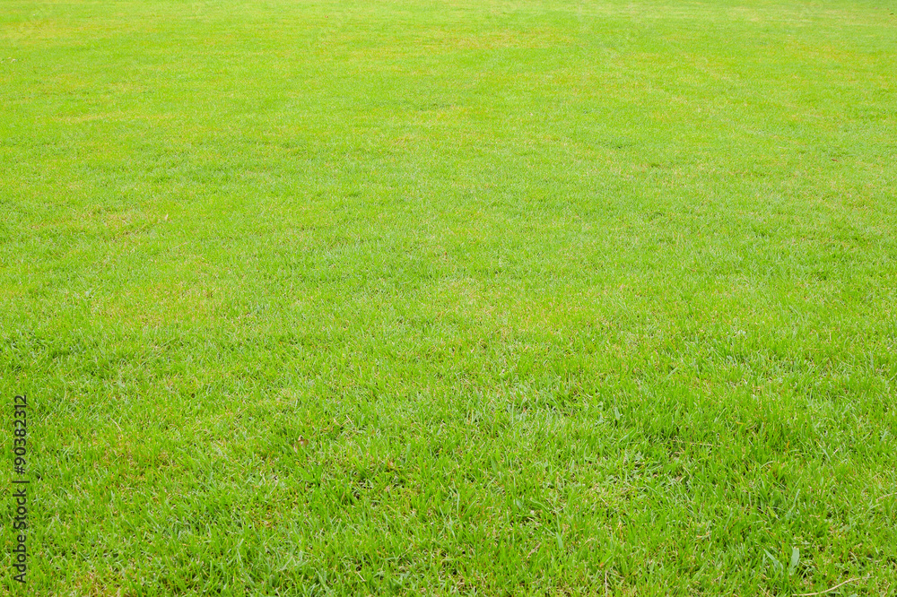 Green Lawn,grass field used for outdoors sports such as soccer. Green Lawn,grass field used for outdoors sports such as soccer.