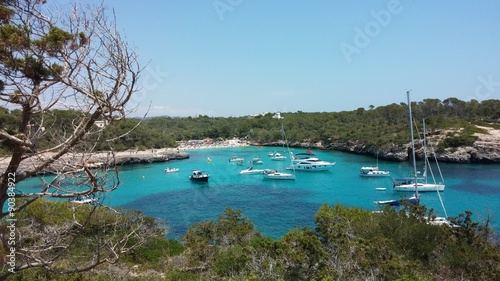 Beautiful cove of Majorca, turquoise and clear water. 