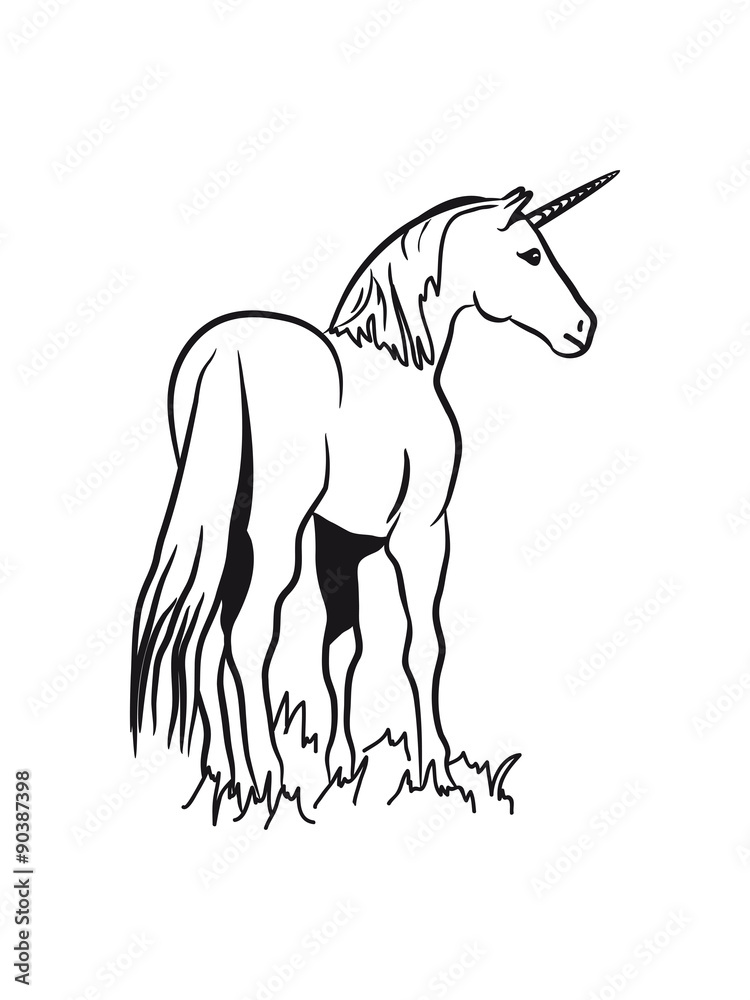 Fototapeta premium unicorn
