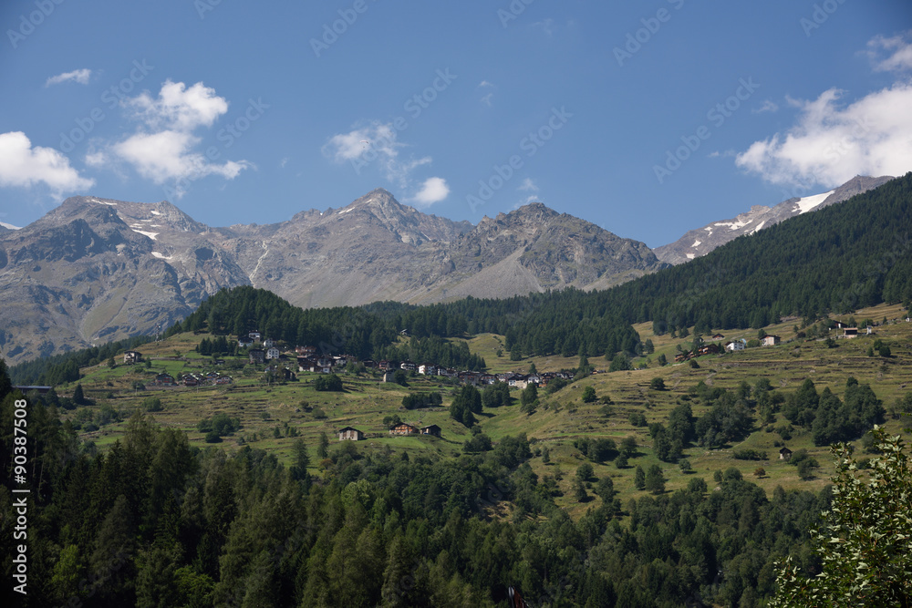 Fototapeta premium montagne cime bosco verde alpi 