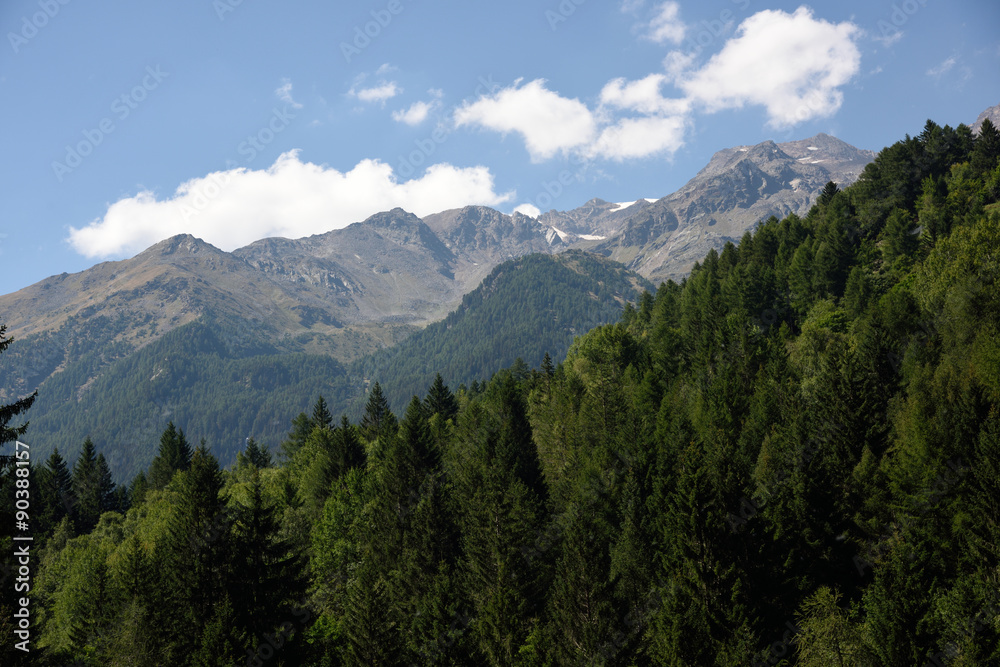 montagne cime bosco verde alpi 