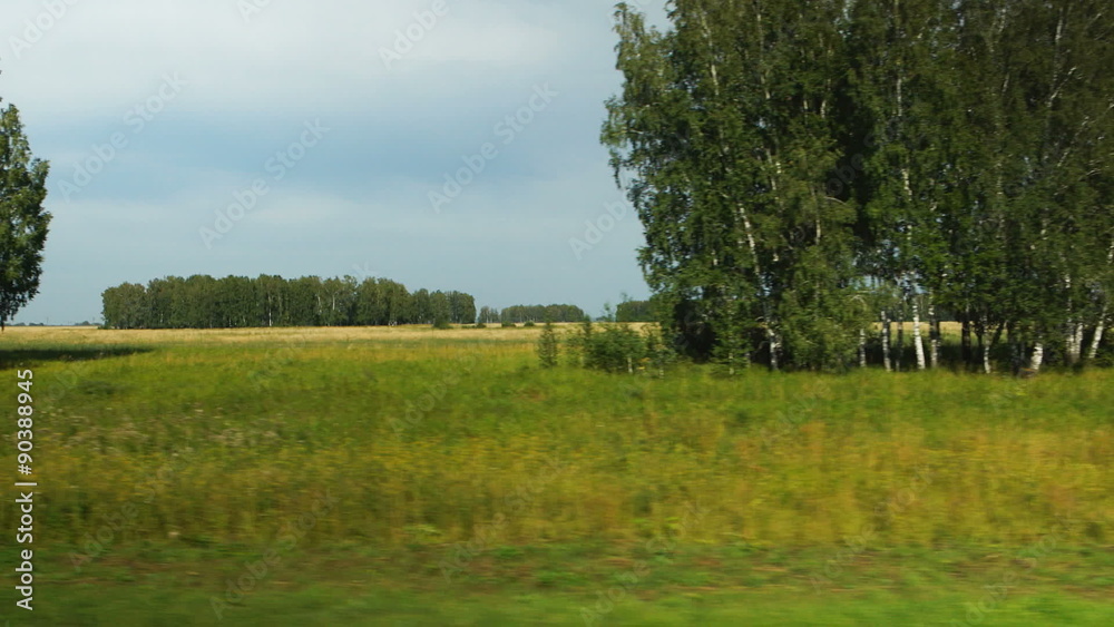 POV: Moving along a yellow agricultural fields and forest at cloudy weather in Altai, Russia
