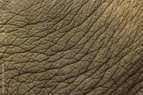 Image of elephant skin background