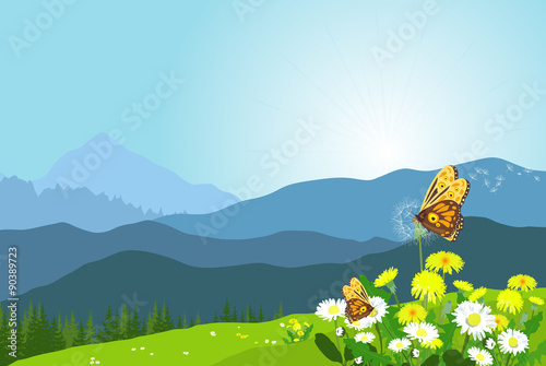 Beautiful mountain landscape with flowers and butterflies