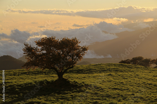 fin de journée à Bourg Murat, île de la Réunion photo