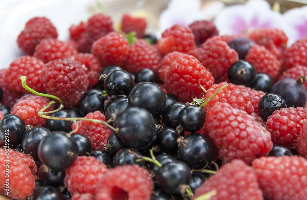 Colorful Mix Of Fresh Berries Colorful Mix Of Fresh Berries