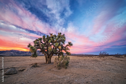 Sunset at Mojave