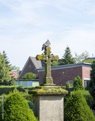 eine Taube auf dem alten Grabkreuz