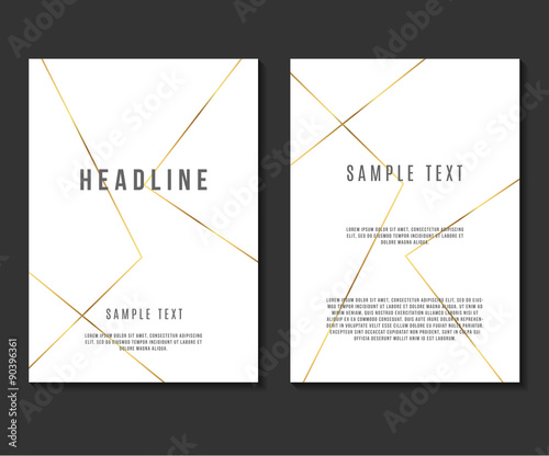 Luxury Minimalism Design Vector Template Layout For Magazine Brochure Flyer Booklet Cover Annual Report