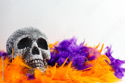 halloween skeleton in purple and orange featers photo