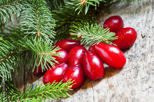 Spruce branches and red berries on the old wooden background, se
