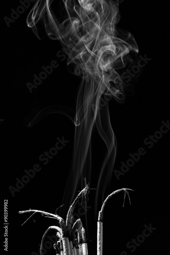 Fototapeta Naklejka Na Ścianę i Meble -  Smoking incense(Black and white scene)