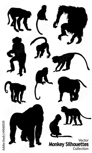 Twelve Vector Monkey silhouettes collection