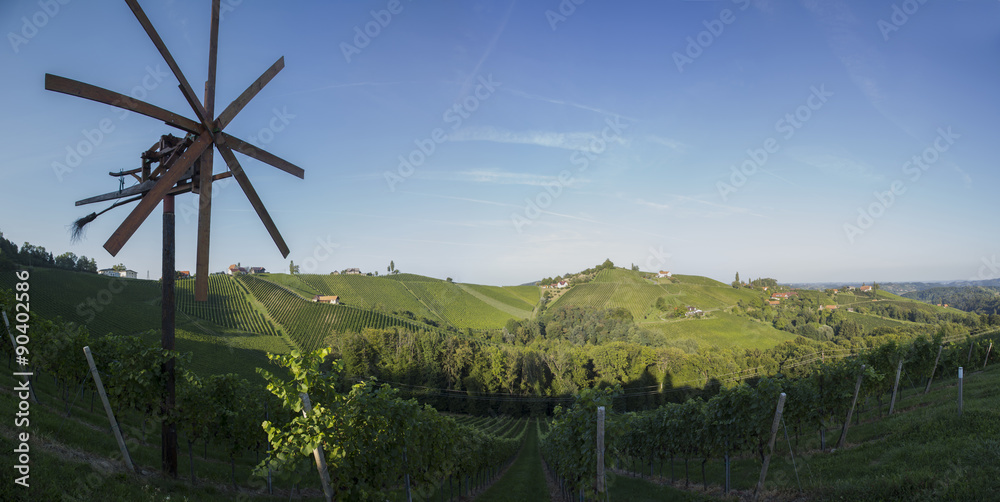 Panorama Weingarten in der Südsteiermark, Steiermark, Weinland, Klapotetz