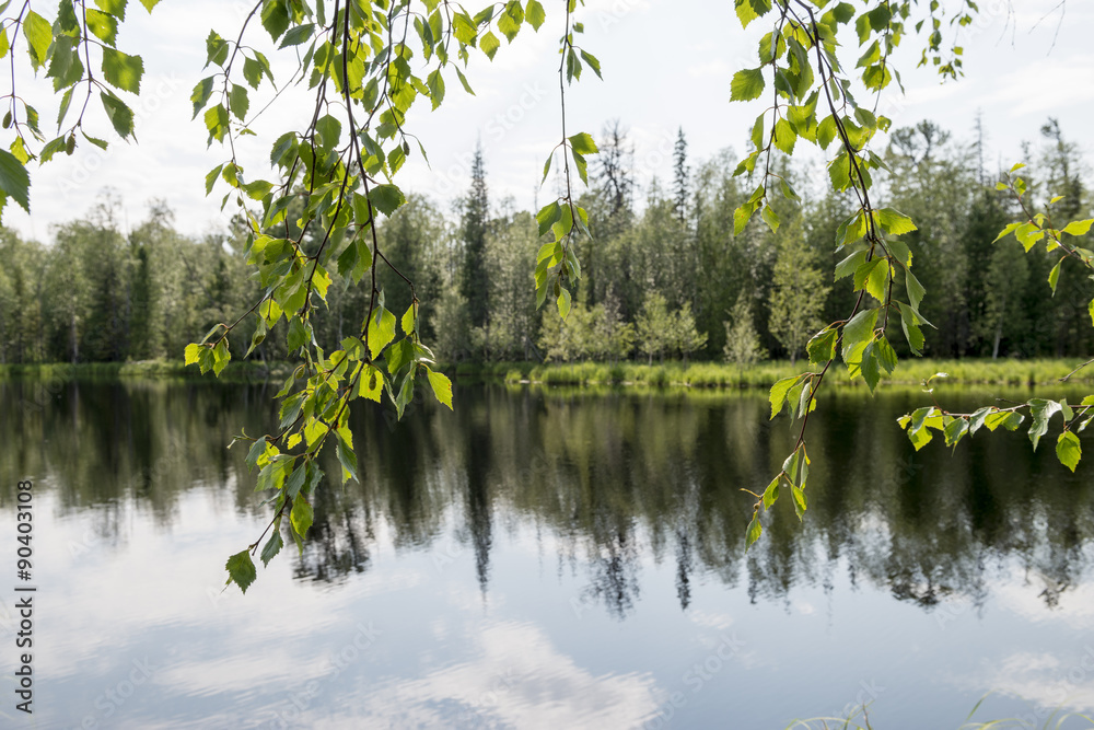 Obraz premium Scenic landscape of nature in Siberia