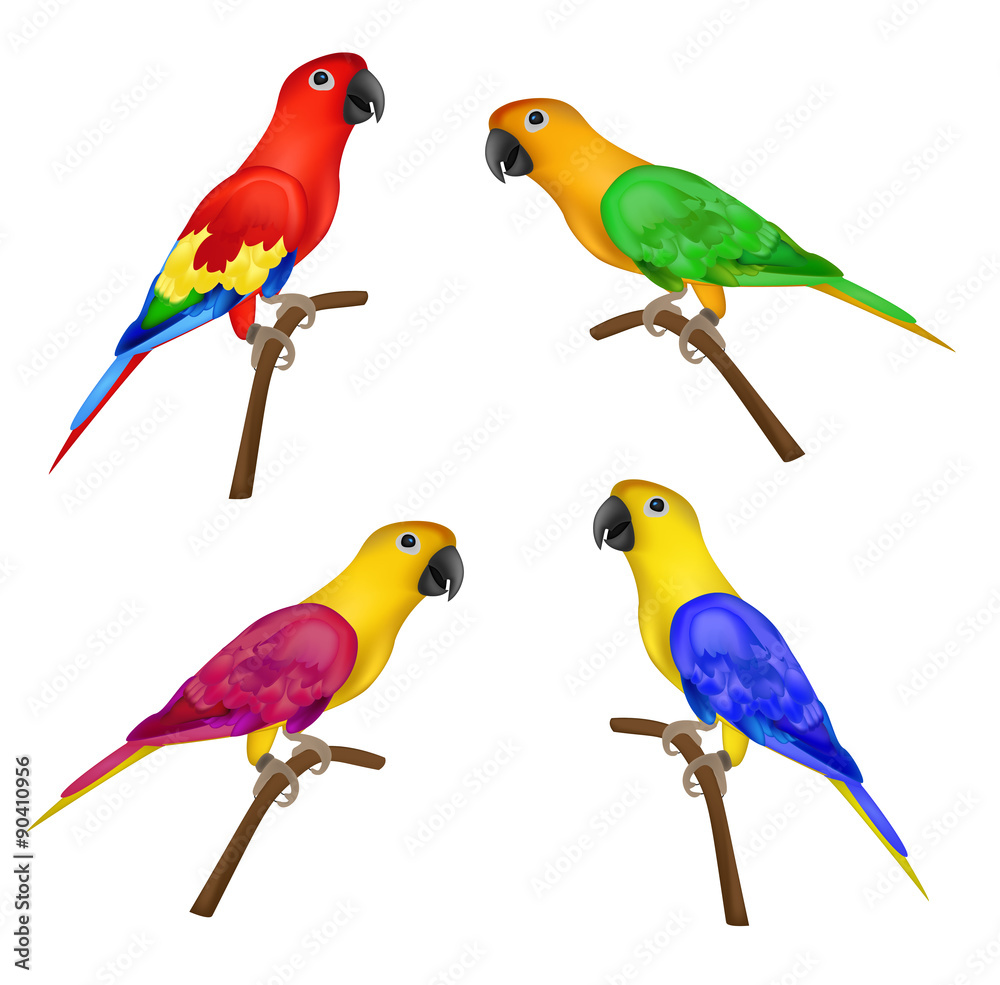 Naklejka premium Set of beautiful colorful parrots isolated on white background- vector illustration