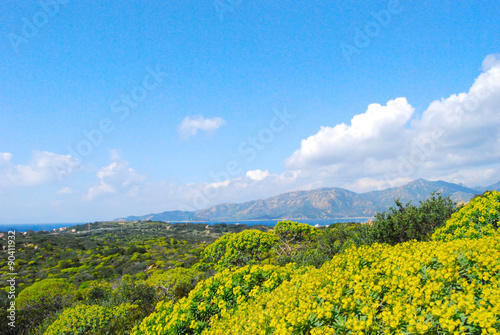 view of a piece of colorful nature in Villasimius (Sardinia) wit