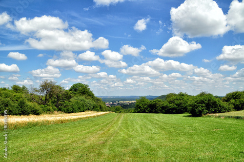 Verte prairie