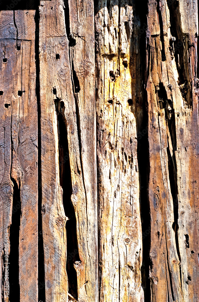 Obraz premium Wooden Texture