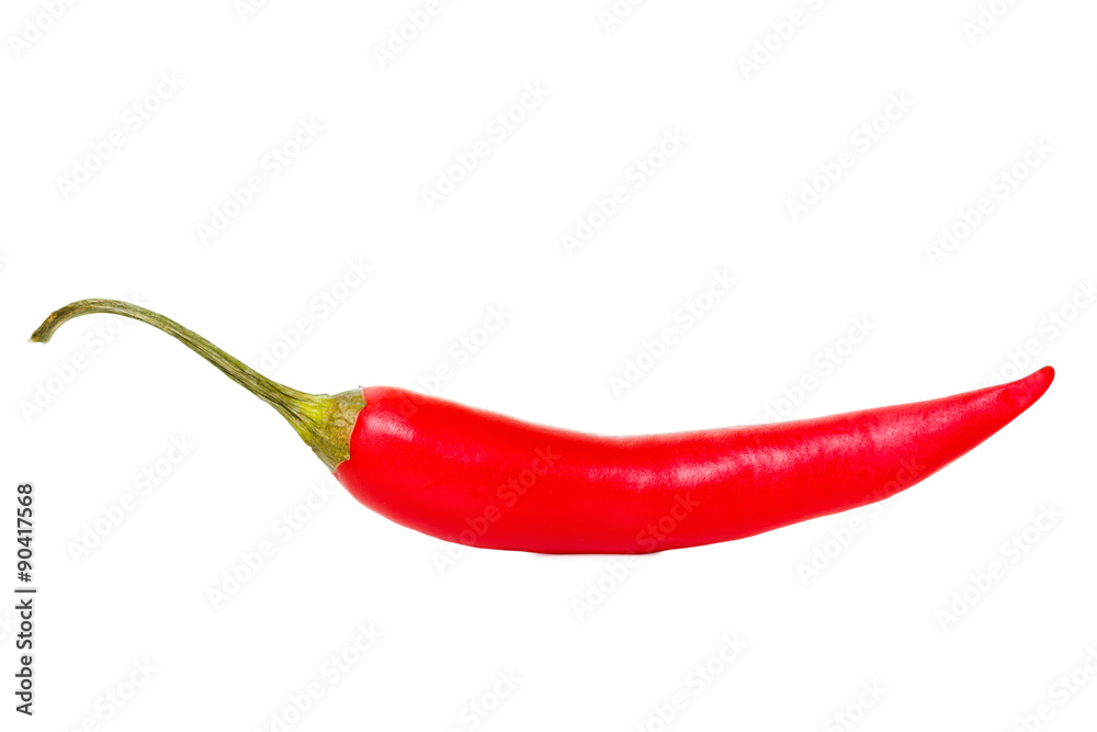 Red hot chili pepper isolated on a white Red hot chili pepper isolated on a white