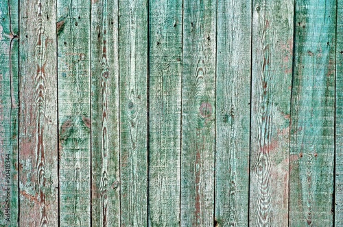 Wooden Shabby Fence © benjaminlion