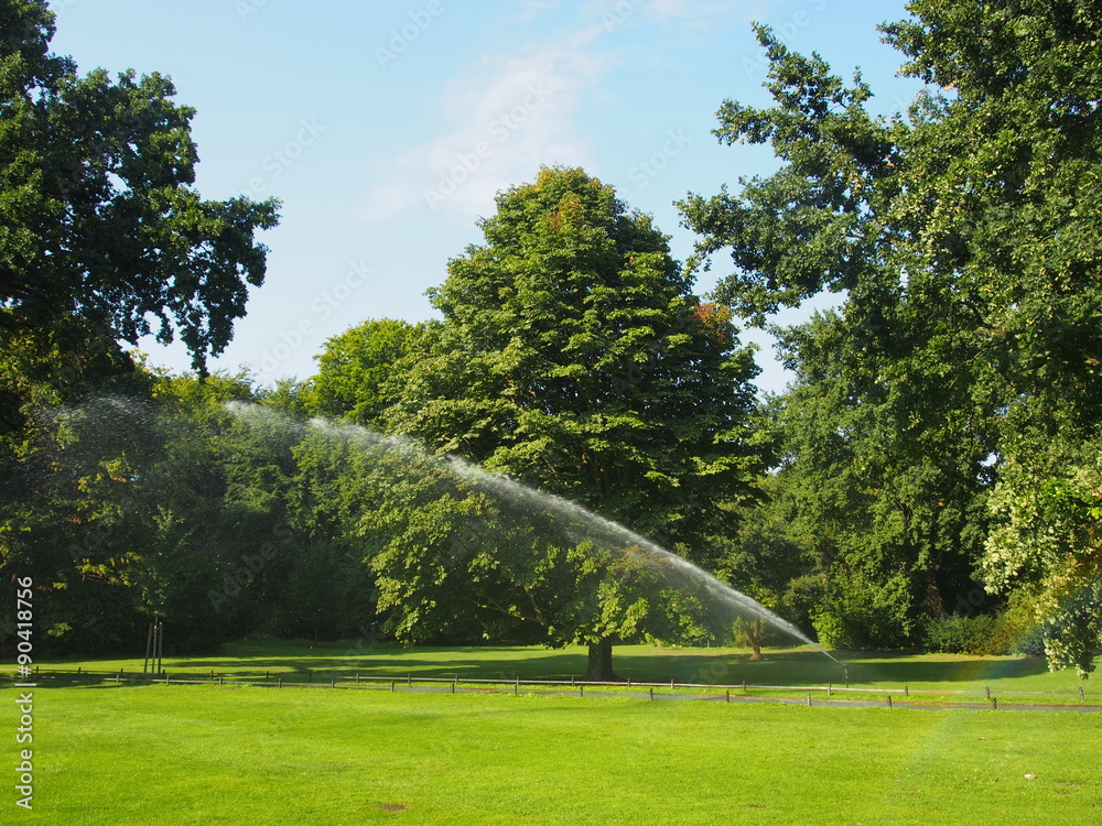 Naklejka premium Rasensprenger, Bewässerung im Tiergarten, Berlin