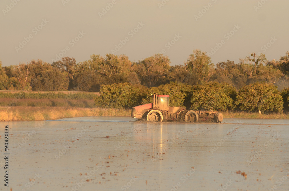 Obraz premium Flood Tractor