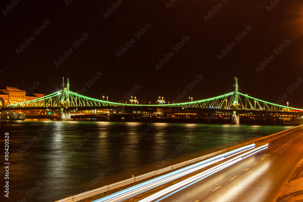 Obraz premium Liberty bridge in Budapest