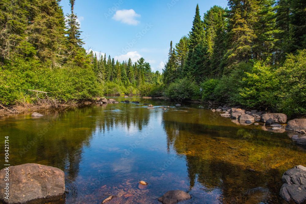 ruhiges gewässer im algonquin nationalpark kanada ruhiges gewässer im algonquin nationalpark kanada