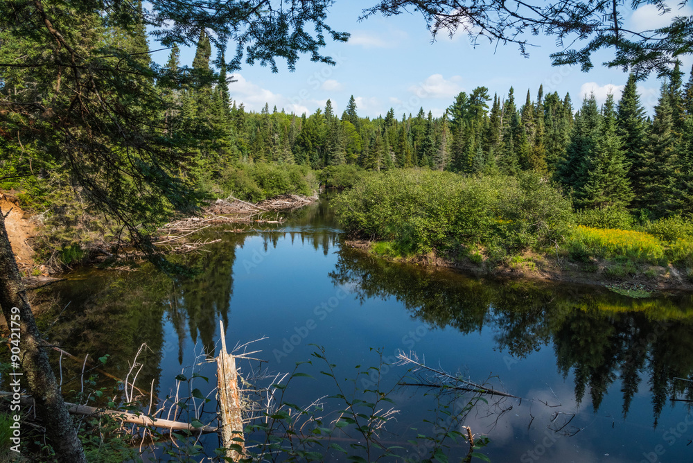 Fototapeta premium see im alqonquin nationalpark in kanada