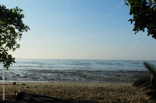 Rocky beach tide with trees in Costa Rica, Osa Peninsula
