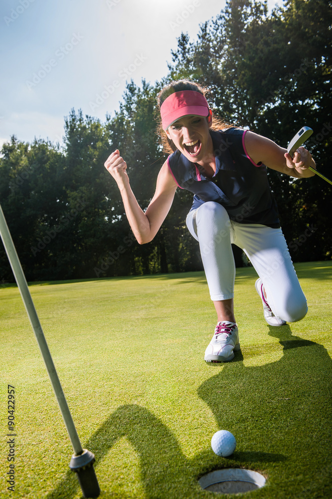 Obraz premium ball is about to drop in the hole Close up on a winning swing