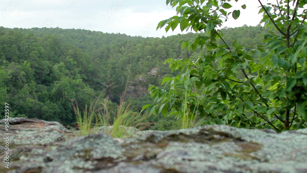 High cliff area dolly in the summertime. High cliff area dolly in the summertime.