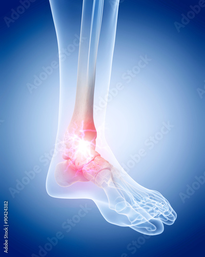 medically accurate illustration of the skeletal foot
